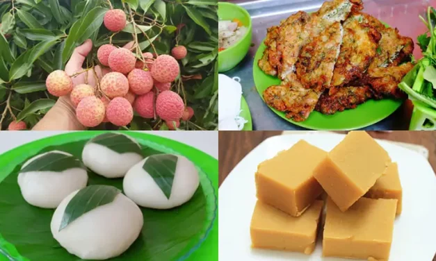 Ăn trưa Hải Dương – TOP+ 10 món, quán ngon đặc sản nổi tiếng
