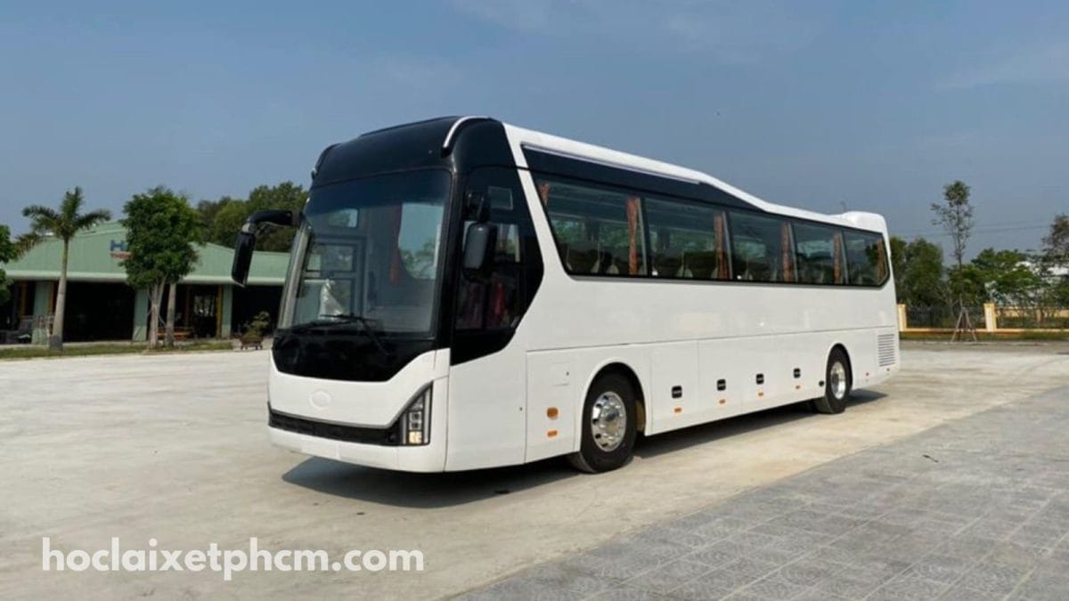 Công Ty Du Lịch Thành Đạt - thuê xe 50 chỗ Cần Giờ