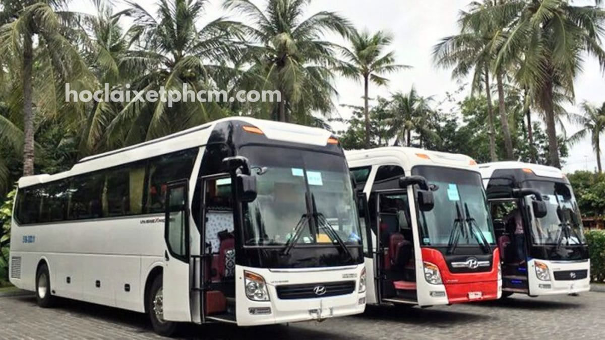 Công Ty Xe Du Lịch Phú Hưng - Thuê xe 50 chỗ Củ Chi