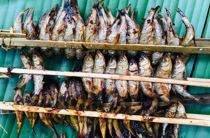 Cá nướng Pác Ngòi - Món ăn sáng ngon ở Bắc Kạn