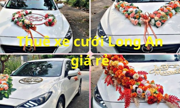 Long An – TOP 9+ Thuê Xe Cưới Long An, Rước Dâu Giá Rẻ