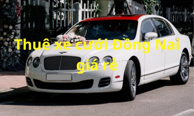 Đồng Nai – TOP 9+ Thuê Xe Cưới Đồng Nai, Rước Dâu Giá Rẻ