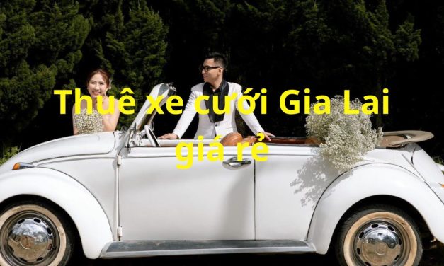 Gia Lại – TOP 9+ Thuê Xe Cưới Gia Lai, Thuê Xe Rước Dâu