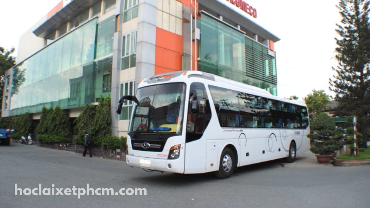 Xe Du Lịch Sài Gòn Express - Thuê xe 50 chỗ Cần Giờ