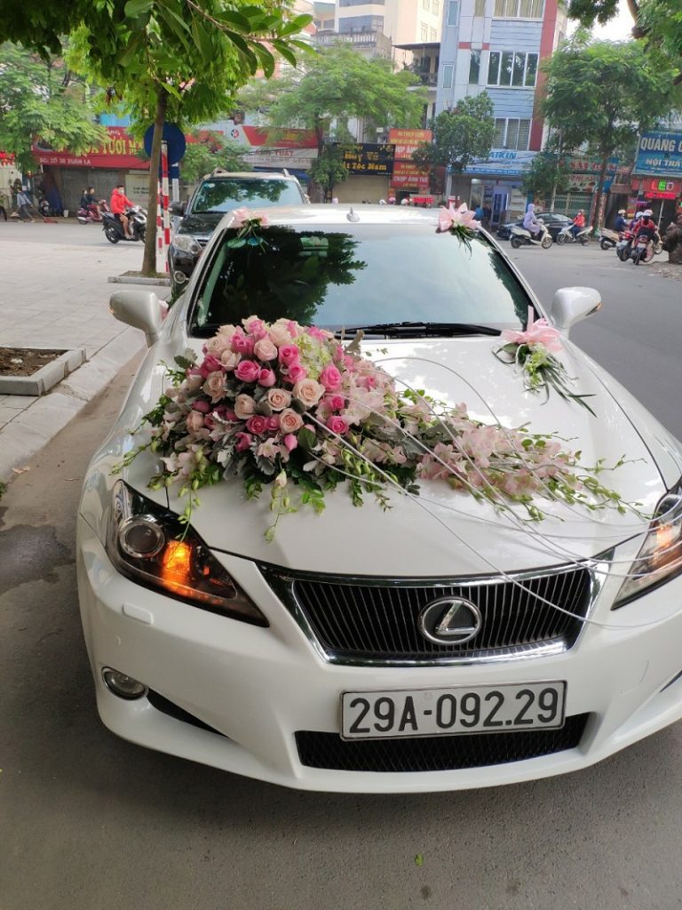 Dịch vụ xe du lịch Tô Công Thảo - Thuê xe cưới Ninh Thuận