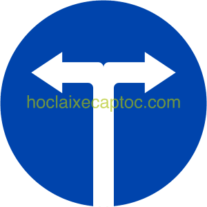 Các xe chỉ được rẽ trái và rẽ phải - biển báo hiệu lệnh