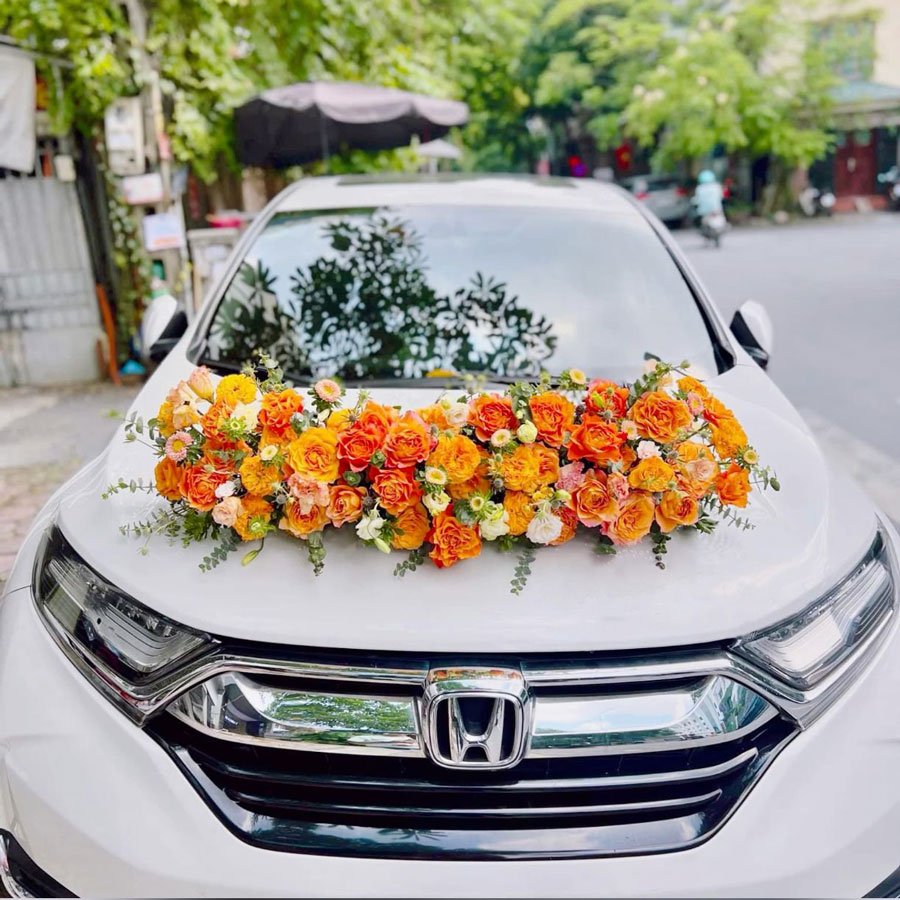 Xe Trường Thịnh Limousine - Thuê xe cưới Đồng Nai