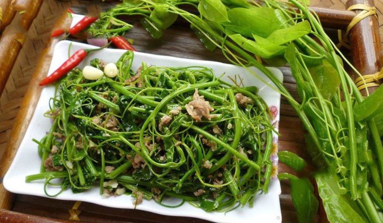 Rau Dớn Xào Tỏi - món ăn trưa ngon ở Bắc Kạn