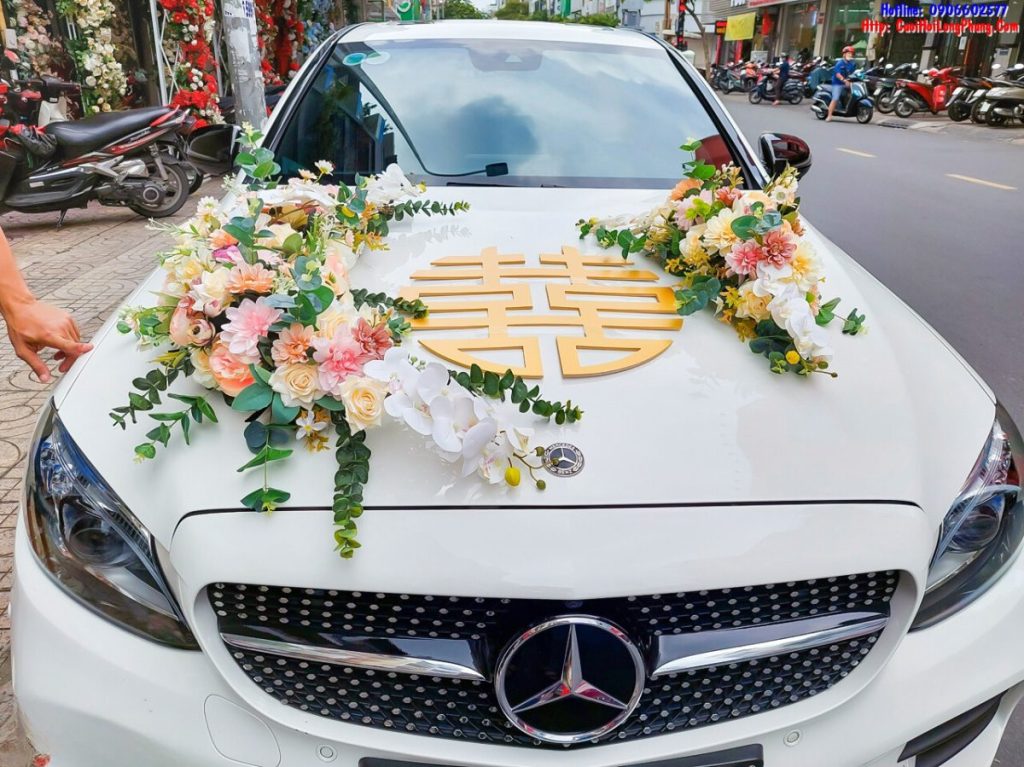 Nhà xe Hiếu - Thuê xe cưới Long An