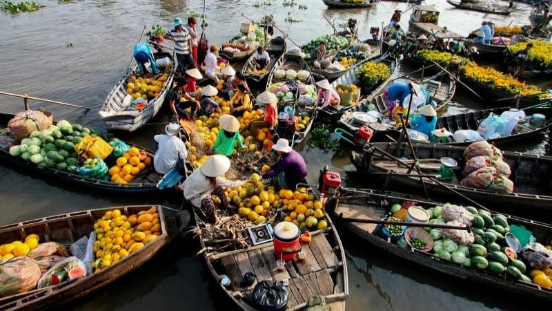 Tiền Giang sáp nhập vào tỉnh nào 2026? Cập nhật mới