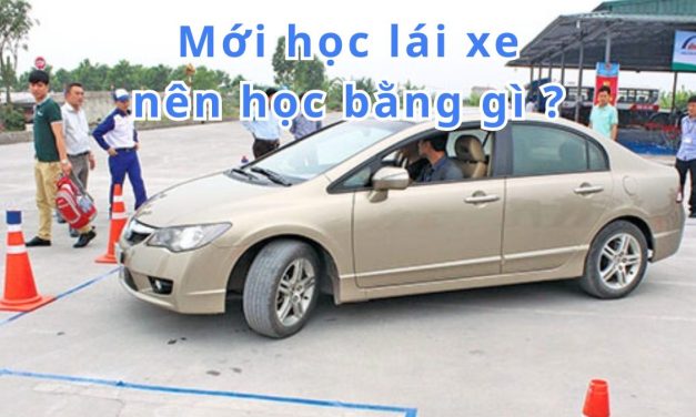 Mới học lái xe nên học bằng gì 2026? Chọn đúng bằng lái, dễ đậu!