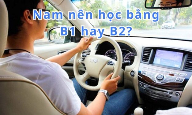 Nam nên học bằng B1 hay B2? Lựa chọn tối ưu cho nam giới