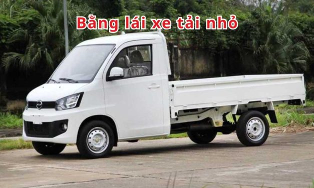 Bằng lái xe tải nhỏ 2026: Nên chọn loại nào tiết kiệm & hợp pháp?