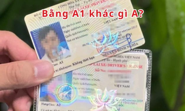 Bằng A1 khác gì A 2026? So sánh chi tiết & nên chọn loại nào