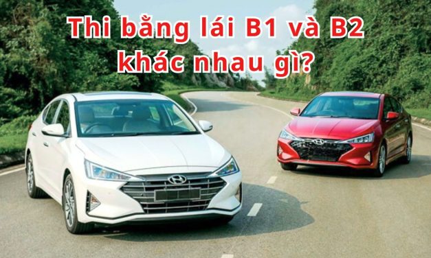 Thi bằng lái B1 và B2 khác nhau gì? So sánh chi tiết, dễ hiểu!