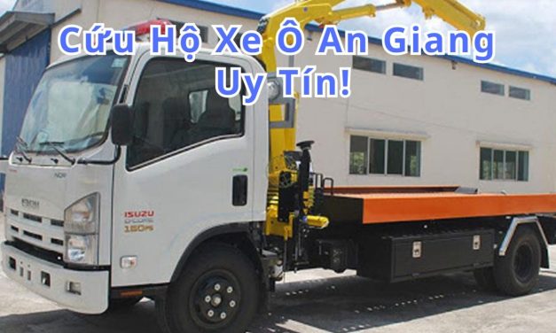 An Giang – TOP 7 Cứu Hộ Xe Ô Tô An Giang 24/7 Uy Tín 2025