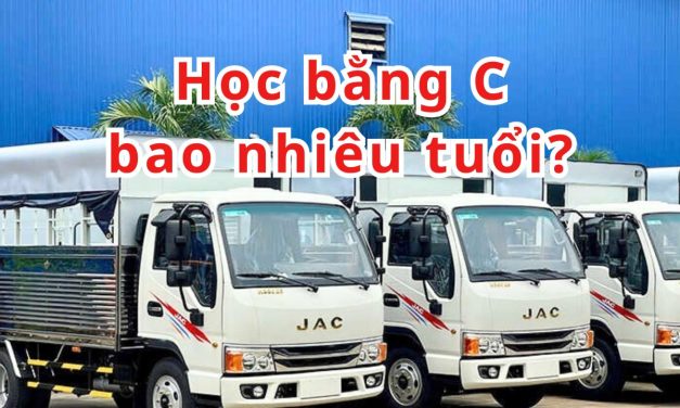 Học Bằng C Bao Nhiêu Tuổi? Quy Định Mới  2026