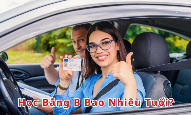 Học Bằng B Bao Nhiêu Tuổi? Cập Nhật Quy Định Mới  2026