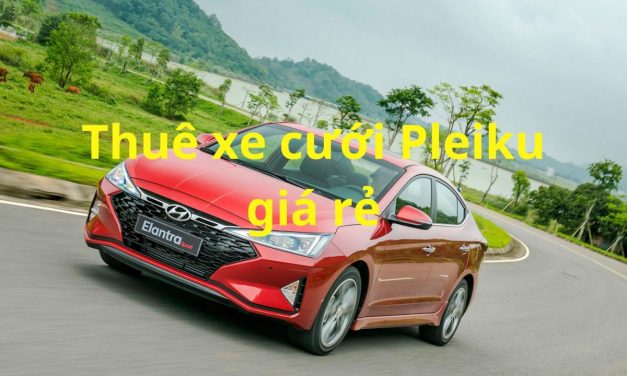 Pleiku – TOP 5+ Thuê xe cưới Pleiku, rước dâu – Xe hoa
